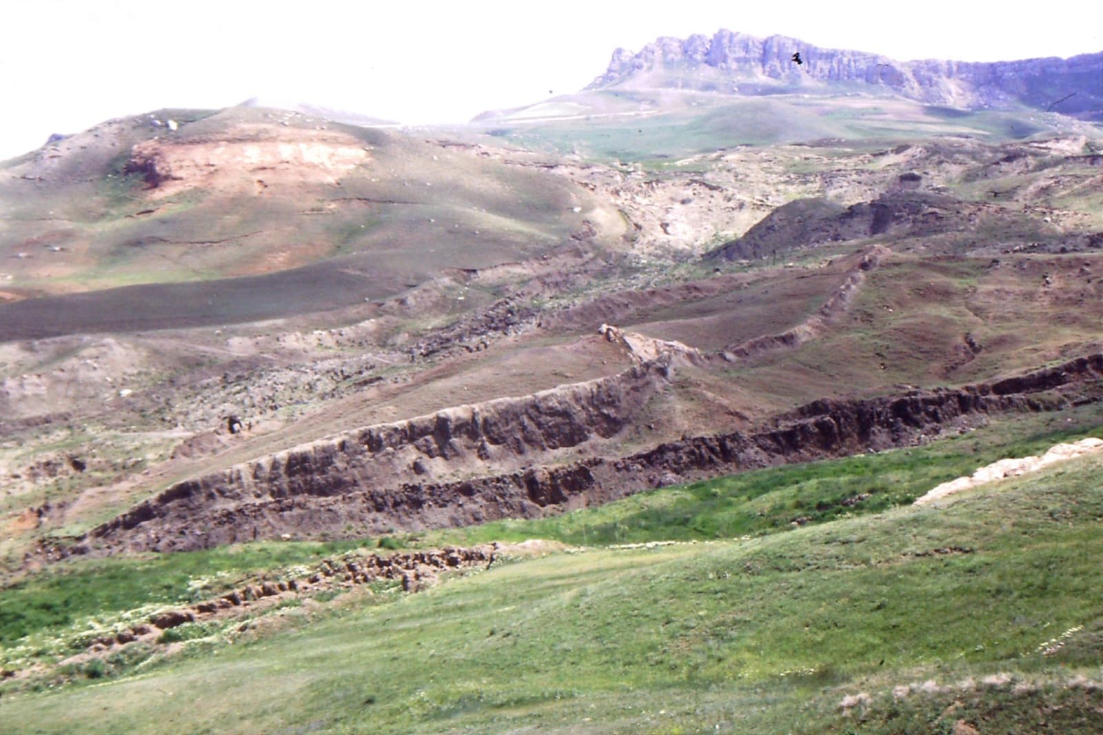 Durupinar Noah's Ark site (June 1997).